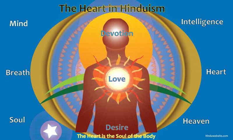 Significance of Heart in Hinduism