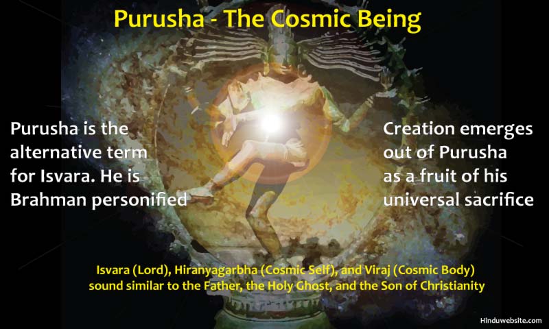 Purusha the Cosmic Being
