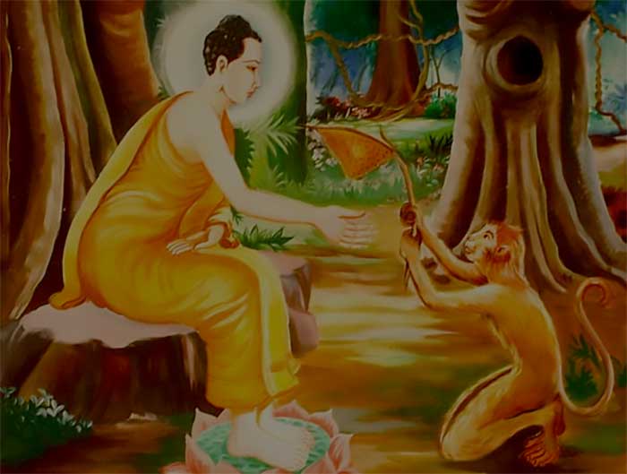 Buddha with monkey