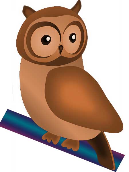 The Big Owl