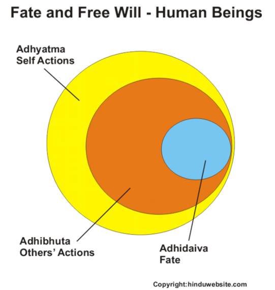 Fate and free will in case of humans