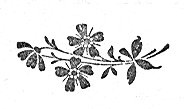 decoration