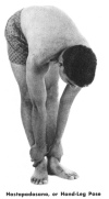 Hastapadasana, or Hand-Leg Pose
